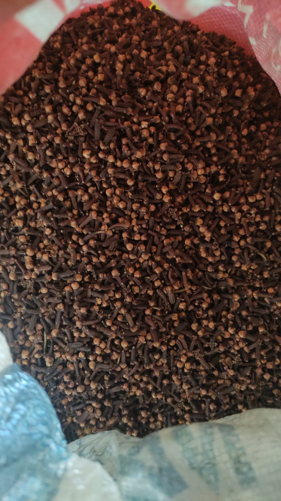 Premium Indian Clove Whole Spice